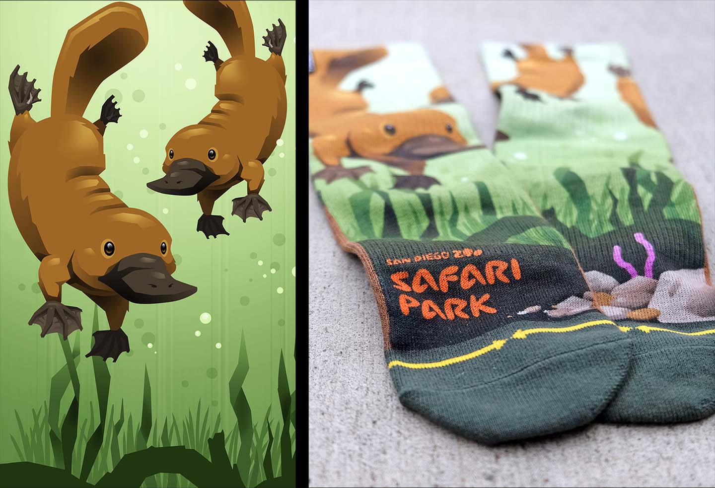 Chump Magic x MERGE4 x San Diego Zoo Sock Design